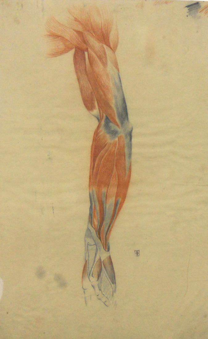 Obra