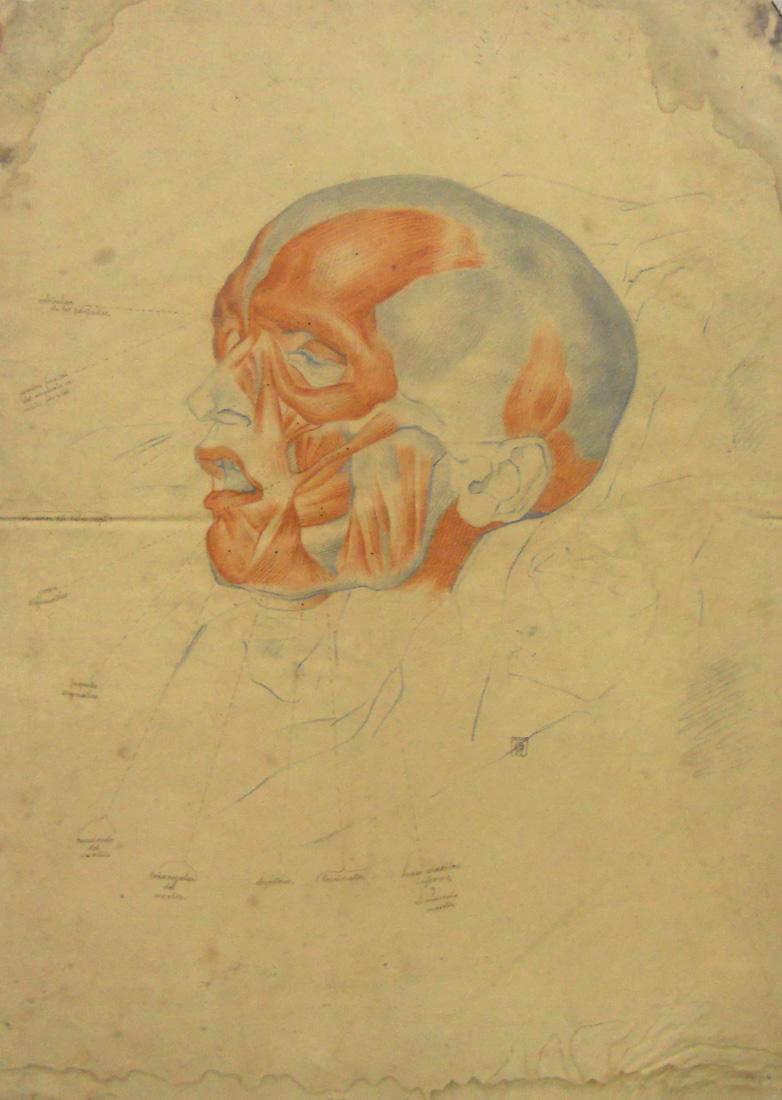 Obra