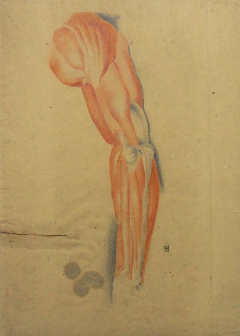Obra