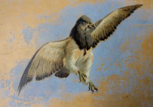 Obra: Fragmento del cuadro el Eterno Padre - Juan Manuel Blanes