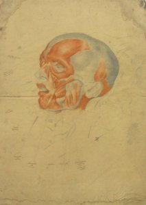 Obra: Anatom�a - estudio en color - Juan Manuel Blanes