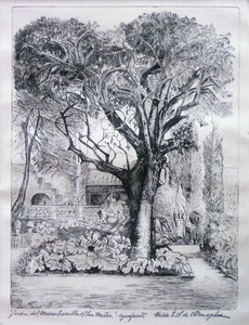 Obra: Jardn del museo Zorrilla de San Martn - Hilda  E. S. de O'Donoghue