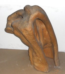 Obra: Figura desgarrada - Amado Chihan