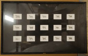 Obra: Es - Alejandro Turell Lorenzo