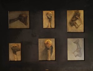 Obra: Ser - Alejandro Turell Lorenzo