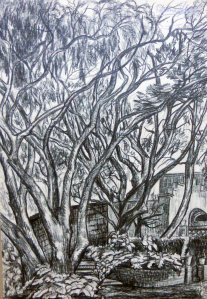 Obra: Museo Zorrilla de San Mart�n - Petrona Viera