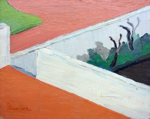 Obra: Muro - Petrona Viera