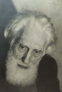 Obra: Fotografa Joaqun Torres Garca  - Alfredo Testoni